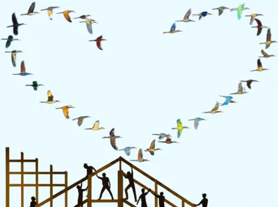 Illustration formations - Image 1