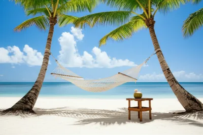 Illustration relaxing - Image 1