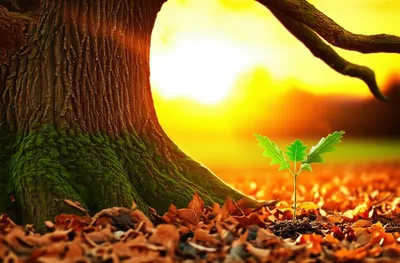 Illustration aged - Image 1