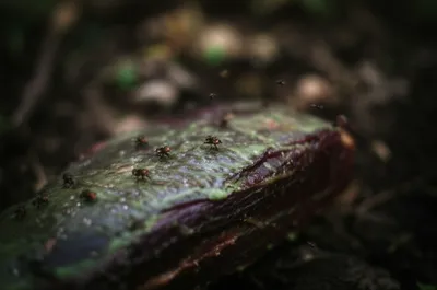 Illustration highest - Image 1