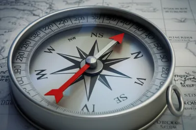 Illustration wander - Image 1