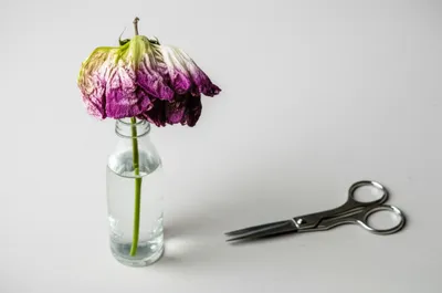 Illustration abates - Image 1