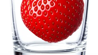 Illustration crushes - Image 1