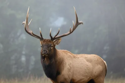 Illustration racks - Image 1