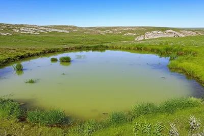 Illustration sloughs - Image 1