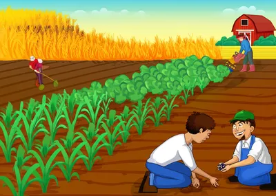 Illustration farming - Image 1
