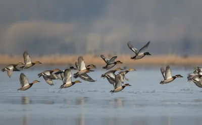 Illustration trip - Image 1