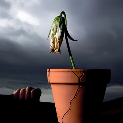 Illustration simmer - Image 1