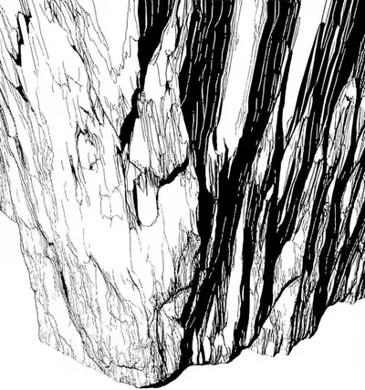 Illustration sheer - Image 1