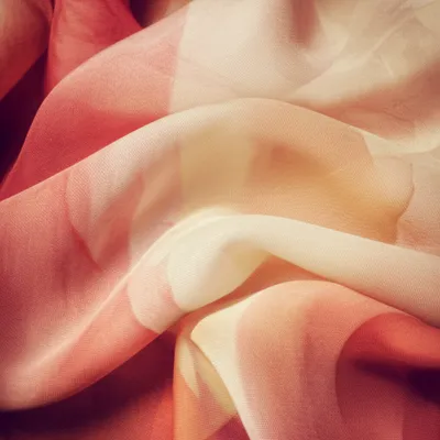 Illustration oldest - Image 1