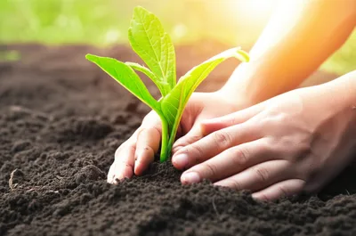 Illustration give - Image 1