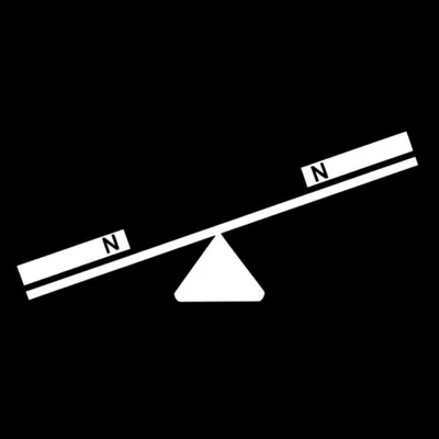 Illustration homopolar - Image 1