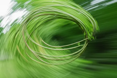 Illustration whipped - Image 1