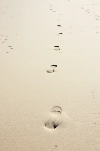 Hình ảnh minh họa followers - Ảnh 1