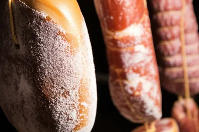 Illustration cures - Image 1