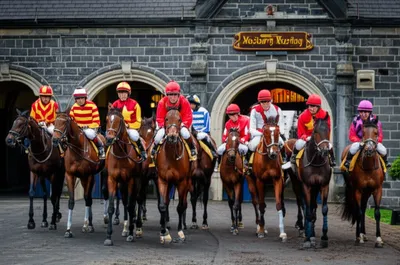 Hình ảnh minh họa string - Ảnh 1