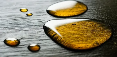 Illustration fat - Image 1