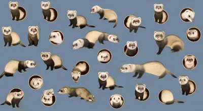 Illustration business - Image 1