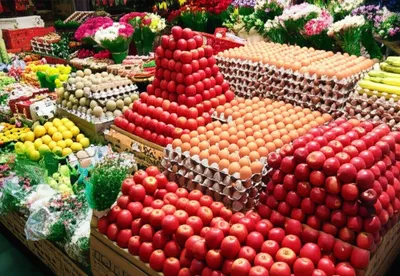 Illustration dozen - Image 1