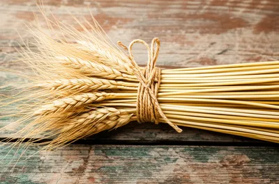 Illustration bundling - Image 1