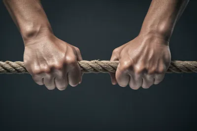 Illustration bite - Image 1