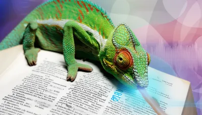 Illustration locution - Image 1