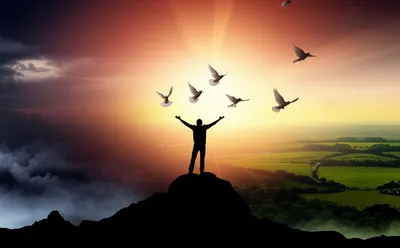 Illustration absolved - Image 1