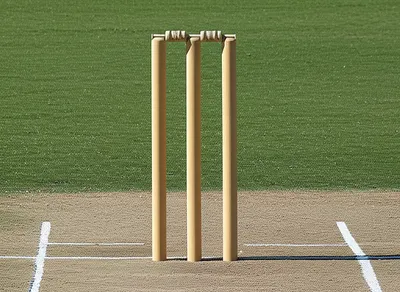 Illustration wicket - Image 1