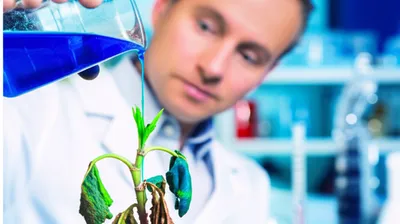 Illustration treated - Image 1