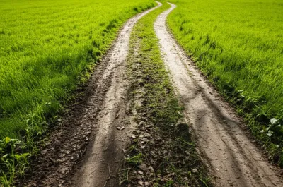 Illustration padded - Image 1