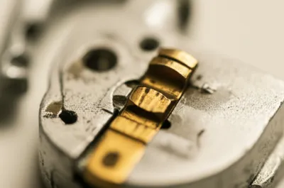 Illustration limb - Image 1