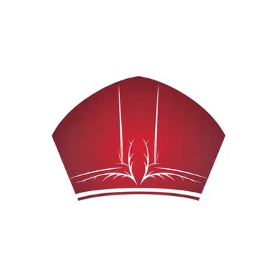 Illustration mitral - Image 1