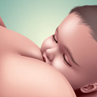 Illustration breasts