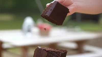 Illustration morsels - Image 1