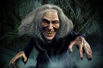 Illustration hag - Image 1