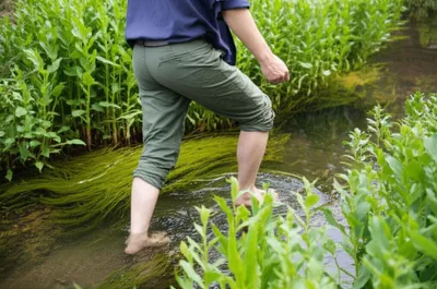 Illustration wade - Image 1