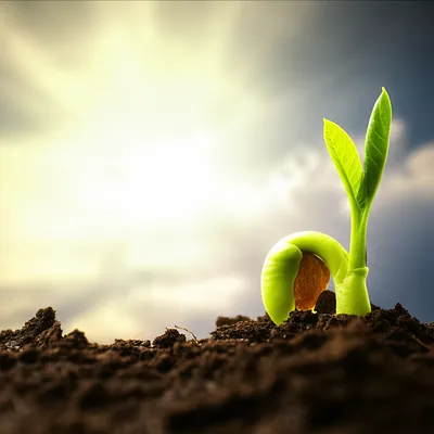 Illustration awaking - Image 1