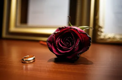 Illustration divorces - Image 1