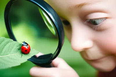 Hình ảnh minh họa observing
