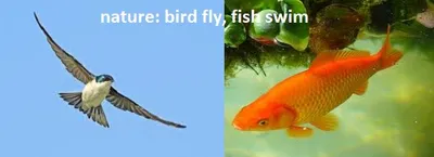 Illustration nature - Image 2