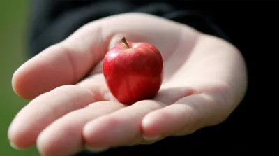 Illustration smaller - Image 1