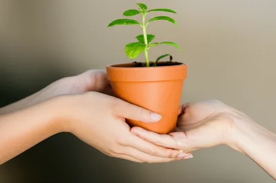 Illustration offers - Image 1