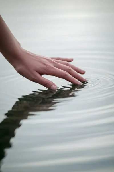 Illustration tapped - Image 1