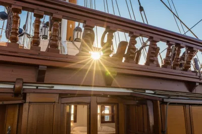 Hình ảnh minh họa companion - Ảnh 1