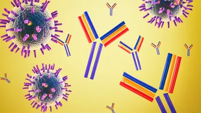 Illustration complement