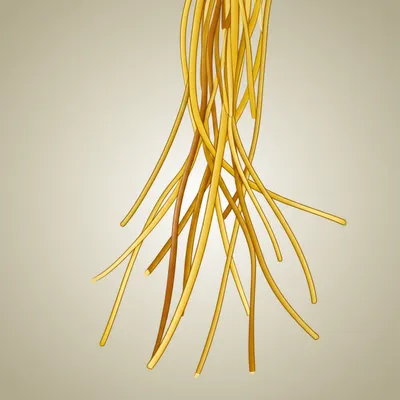 Hình ảnh minh họa string - Ảnh 1