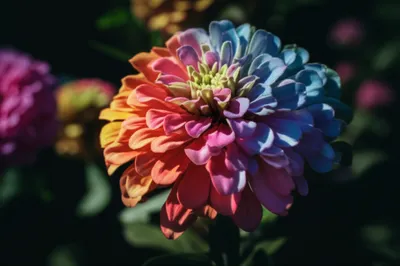 Illustration diminished - Image 1