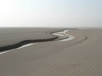 Illustration draining - Image 1