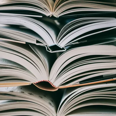 Hình ảnh minh họa polyglot - Ảnh 1