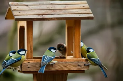 Illustration scantling - Image 1